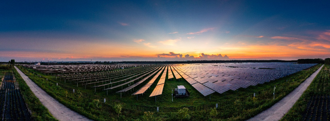 Energia solar: quando compensa o investimento? - Ecosol